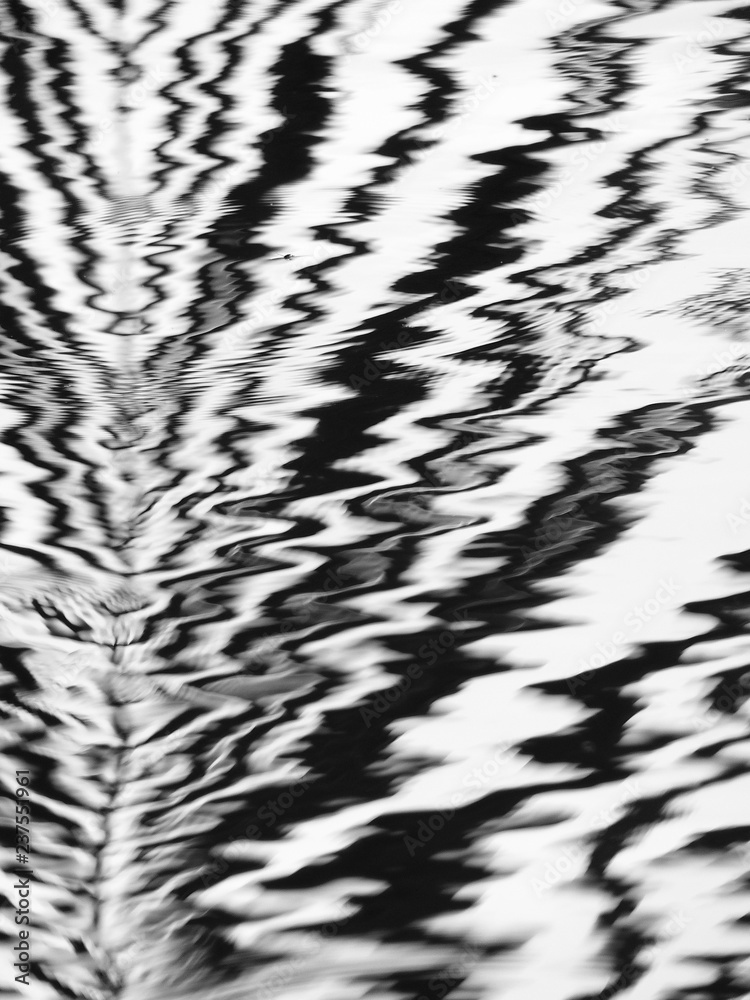 abstract black and white palm leaf on water reflection wave abstract black and white palm leaf on water reflection wave
