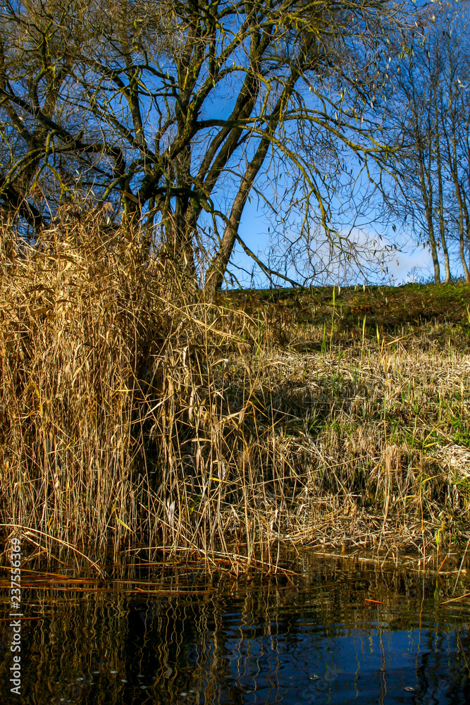 Fototapeta premium Autumn landscape with colorful trees, grass and river.
