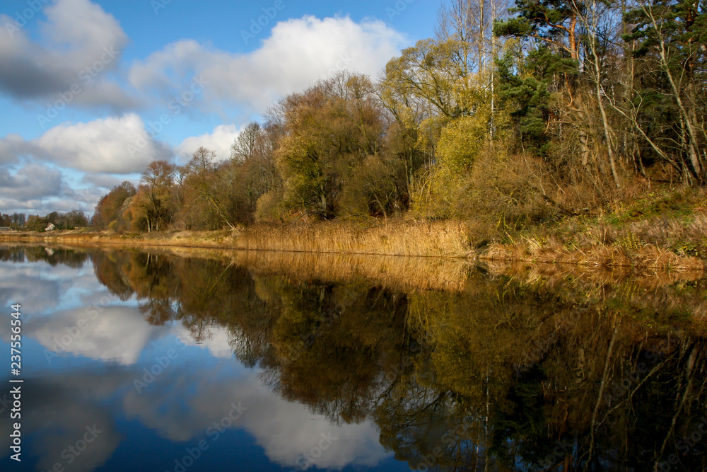 Fototapeta premium Autumn landscape with colorful trees, yellow grass and river. Reflection in river