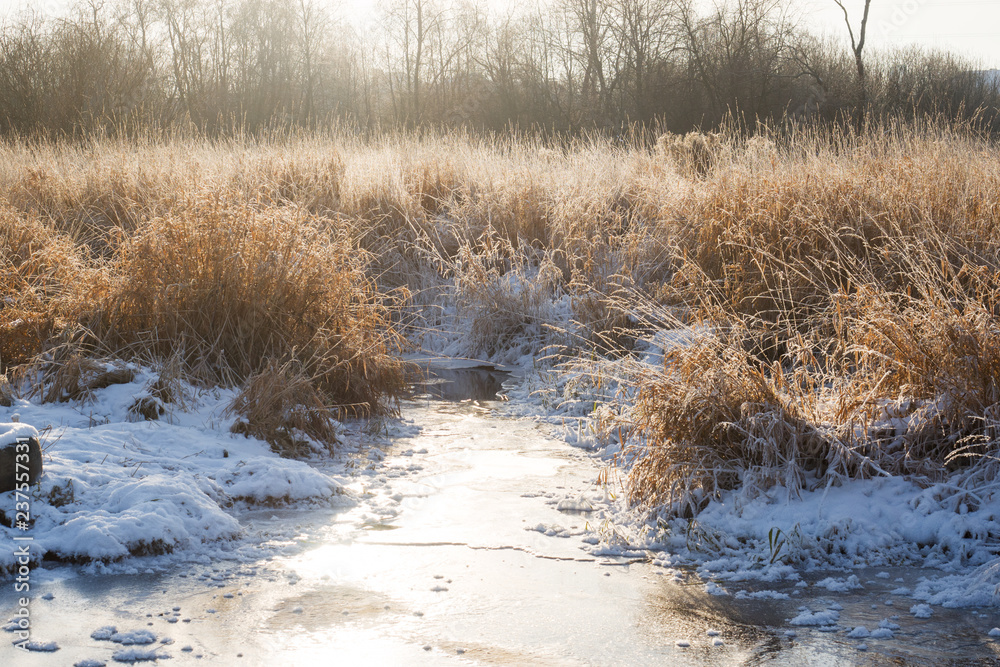 Winter landscape. Frozen river and high dry grass on a Sunny day.