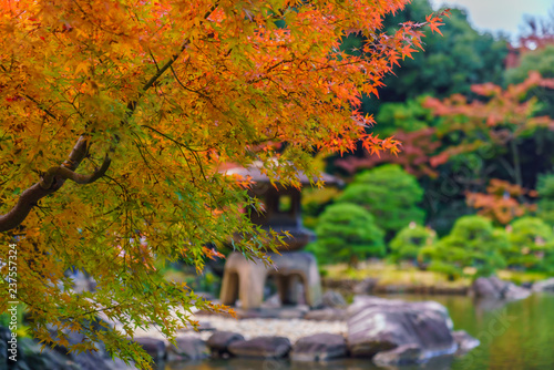 日本の秋 東京都北区 旧古川庭園の紅葉風景 photo