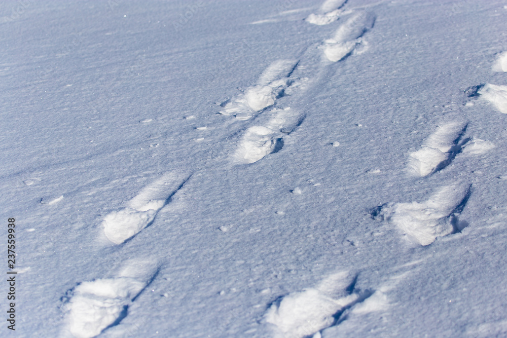 Human footprints on white snow as a background Human footprints on white snow as a background