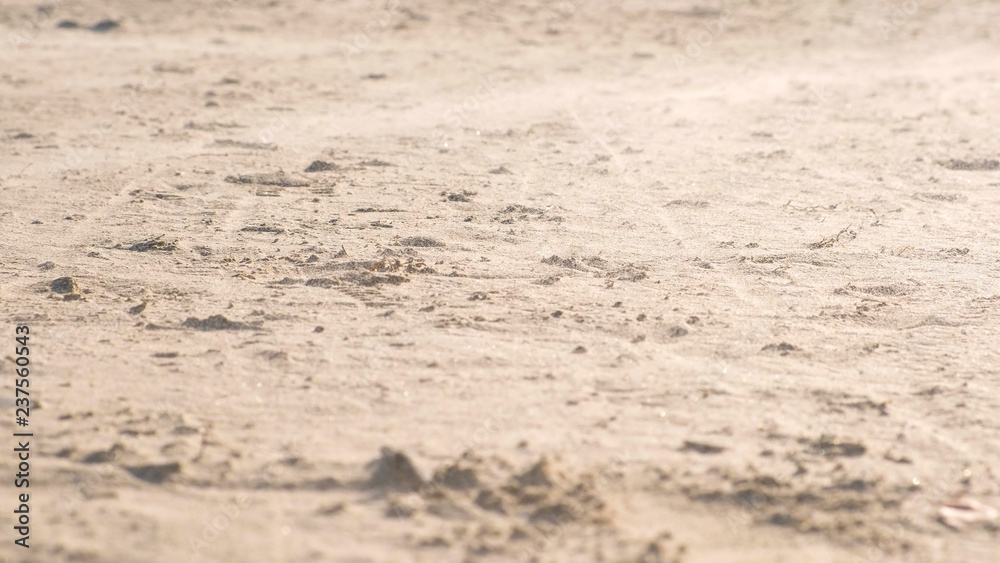 Sandstorm close-up on the sand beach with wind. Sandstorm close-up on the sand beach with wind.
