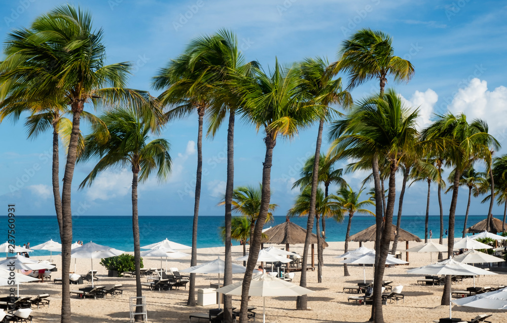 Caribbean Beachfront with Sun Umbrellas, Gazebos and Swaying Palm Trees Caribbean Beachfront with Sun Umbrellas, Gazebos and Swaying Palm Trees