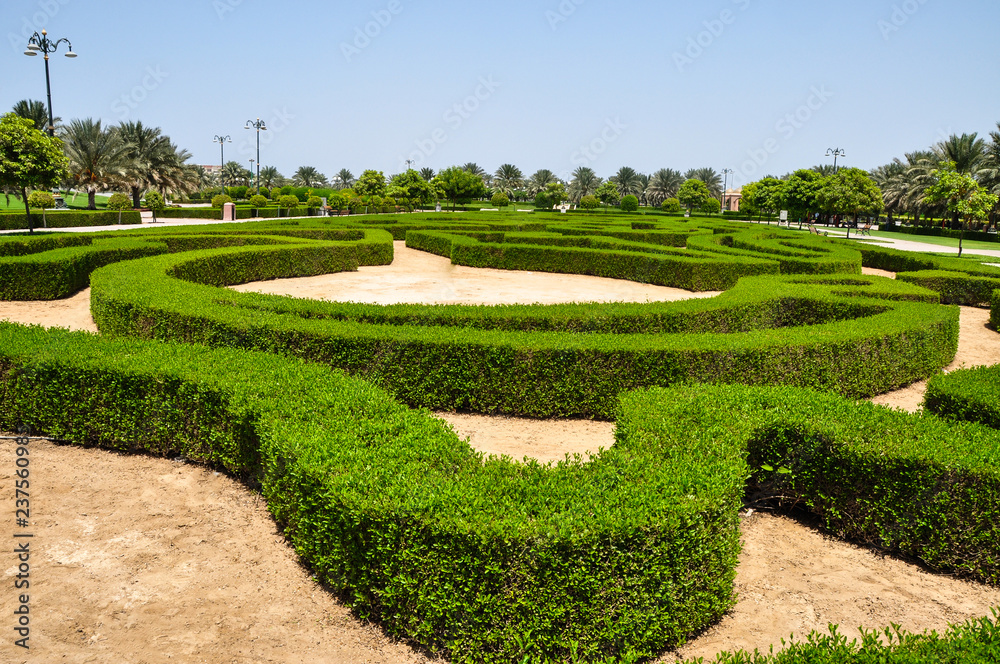 Hedge trimming design in the park 