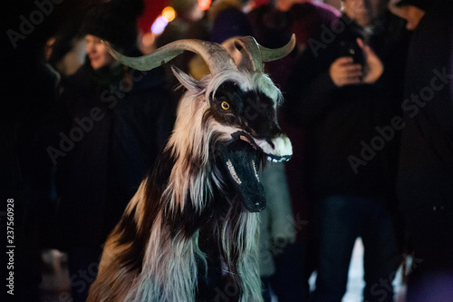 Habergeiß, Habergoaß, Julbock, Ziege, Schreckziege, Tiermaske photo