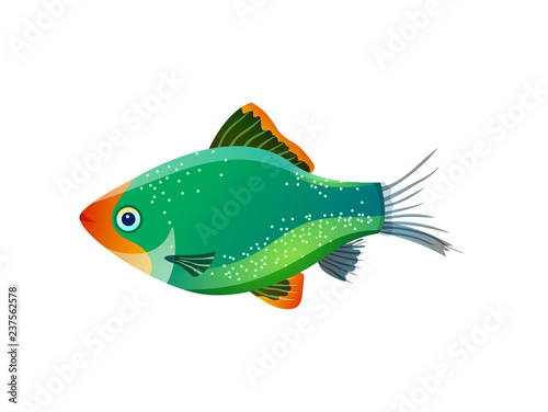 Green Tiger Barb Ocean Inhabitant Colorful Poster