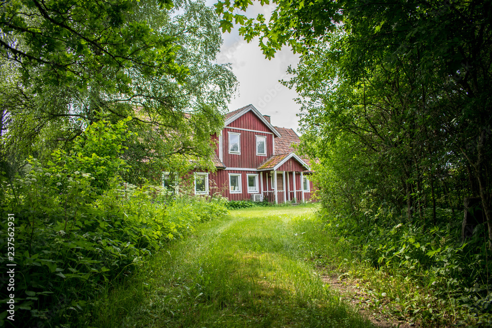 old house in the forest