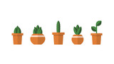 Set of cactus plants in flat design