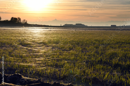 Il velo della vergine sulla pianura Padana photo