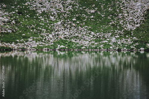 Lake Brebeneskul in the Carpathian mountains photo