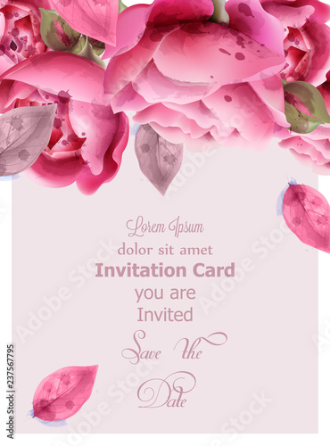 Pink roses watercolor Vector. Invitation card, wedding ceremony, delicate pos...