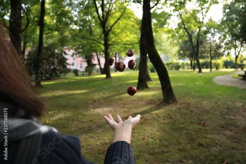 flying chestnuts in park