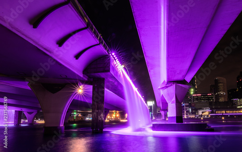 Obraz na płótnie The purple water bridge