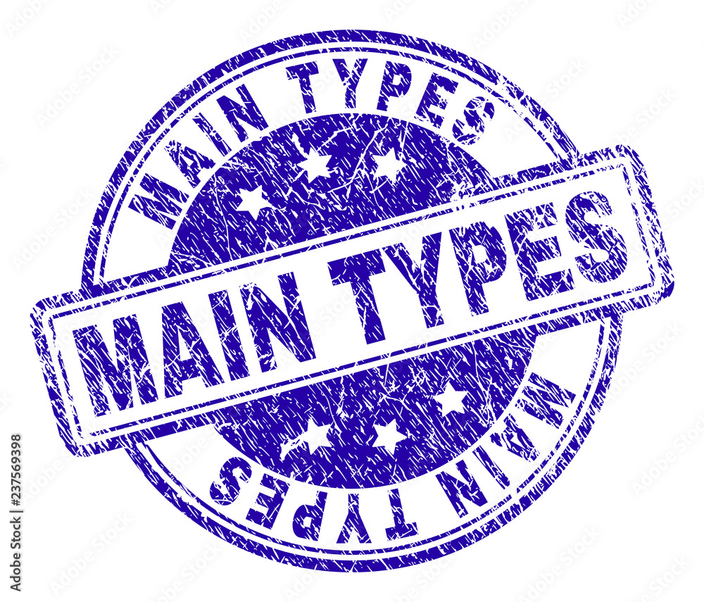 MAIN TYPES stamp seal watermark with grunge effect. Designed with