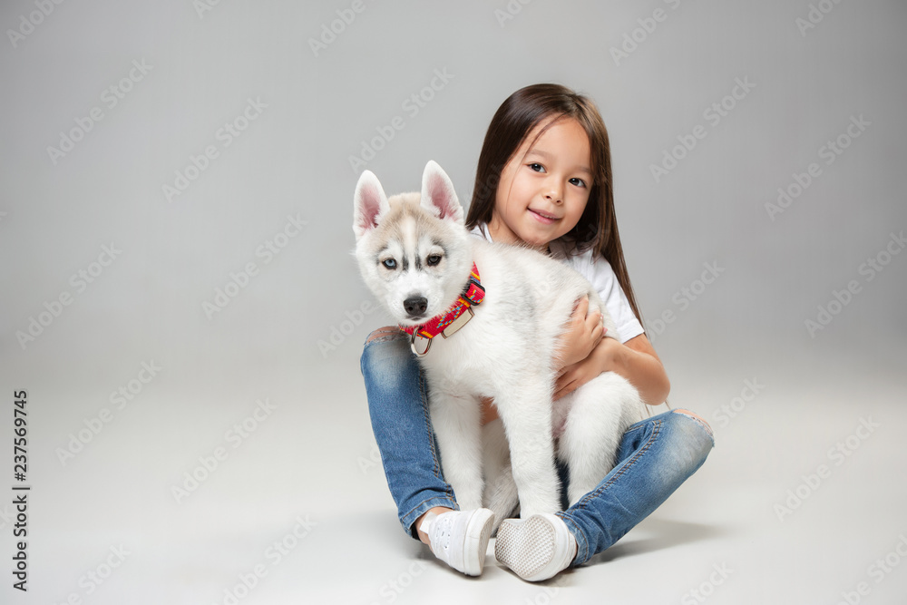 Portrait of a joyful little girl having fun with siberian husky puppy on the floor at studio. The animal, friendship, love, pet, childhood, happiness, dog, lifestyle concept Portrait of a joyful little girl having fun with siberian husky puppy on the floor at studio. The animal, friendship, love, pet, childhood, happiness, dog, lifestyle concept