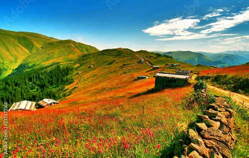 tale of the Black Sea city of Trabzon photo