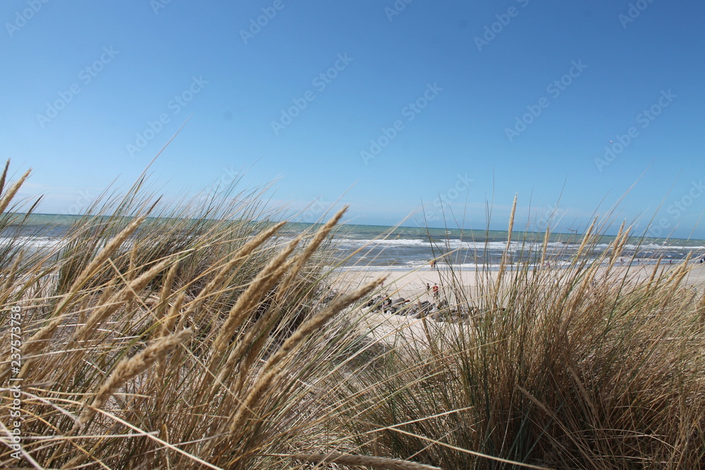 Fototapeta premium paysage