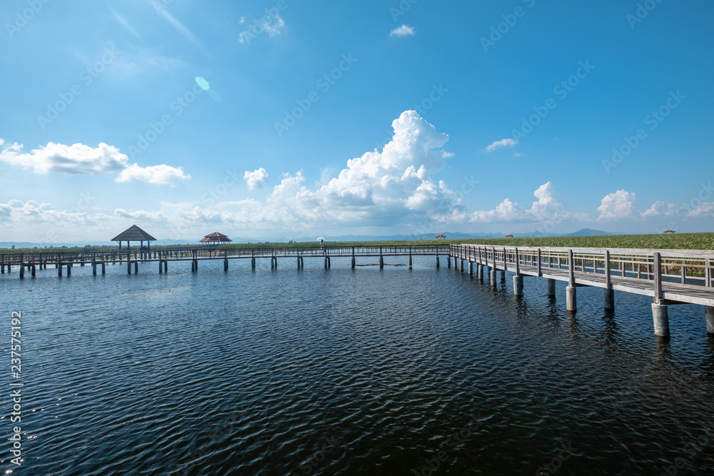 wooden bridge on a lake
