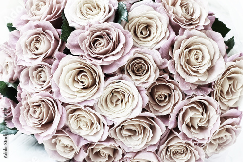 Bouquet of fresh pink roses . Vintage style photo.  