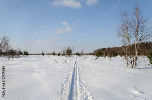 Ski track in snowy field near forest edge
