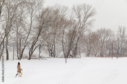 Girl and a dog walking in the snow