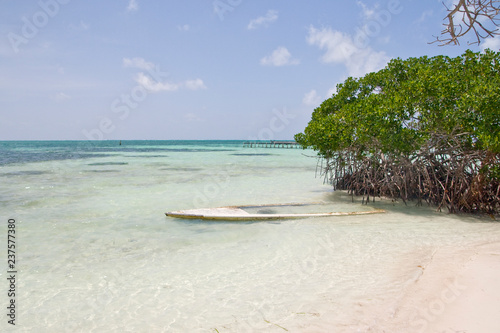 Sand beach with mangrove forest, Caye Caulker, Belize, Caribbean
