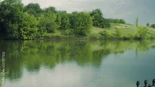 Rain on pond