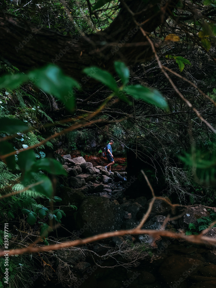 Man explores with backpack dense tropical jungle and rainforest Man explores with backpack dense tropical jungle and rainforest