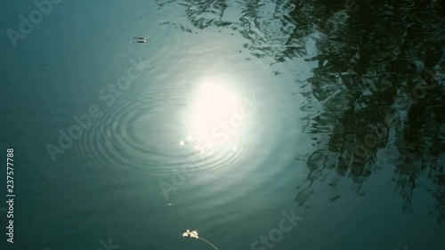 Sun reflecting in water
