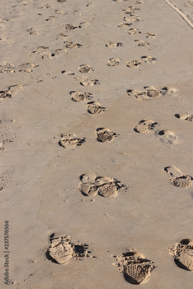 Obraz premium footprints in the sand