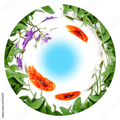 circle from grass and wild flowers on a white