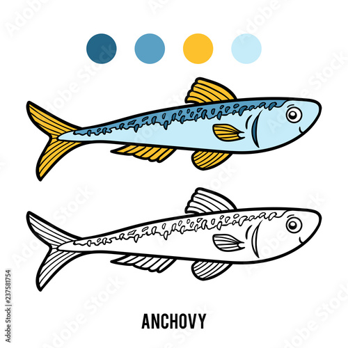 Coloring book, Anchovy