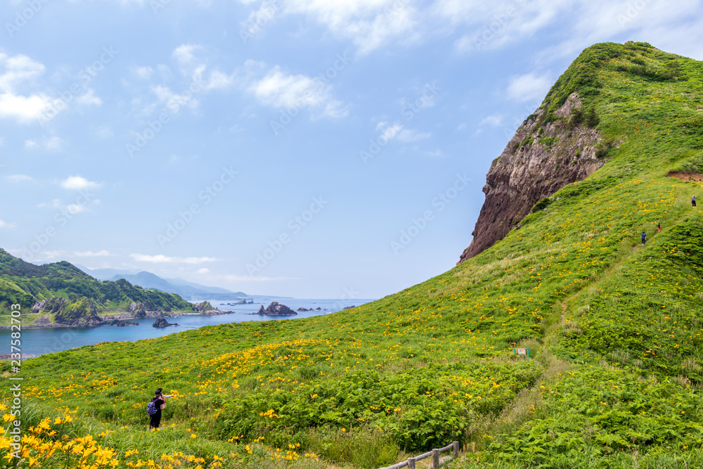 Fototapeta premium 大野亀