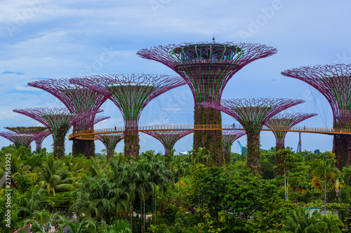 Park Gardens by the Bay - Singapore © Nikolai Sorokin