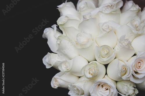White roses in a dark atmosphere - concept of things gone wrong, divorce, separation and unhappiness