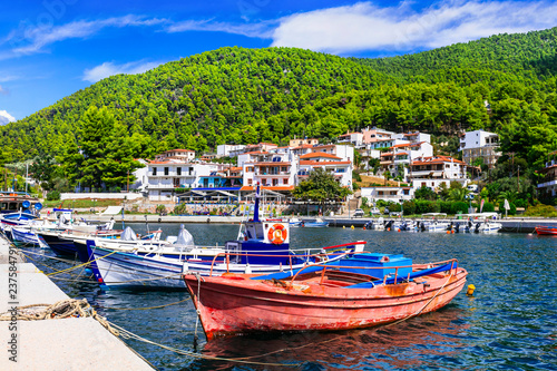Best beaches of Skopelos island - beautiful Limnonari with amazing bay. Sporades islands of Greece photo