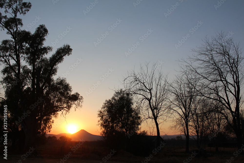 Orange sunrise with sun rising over far hill with trees silhouetted in the foreground.
