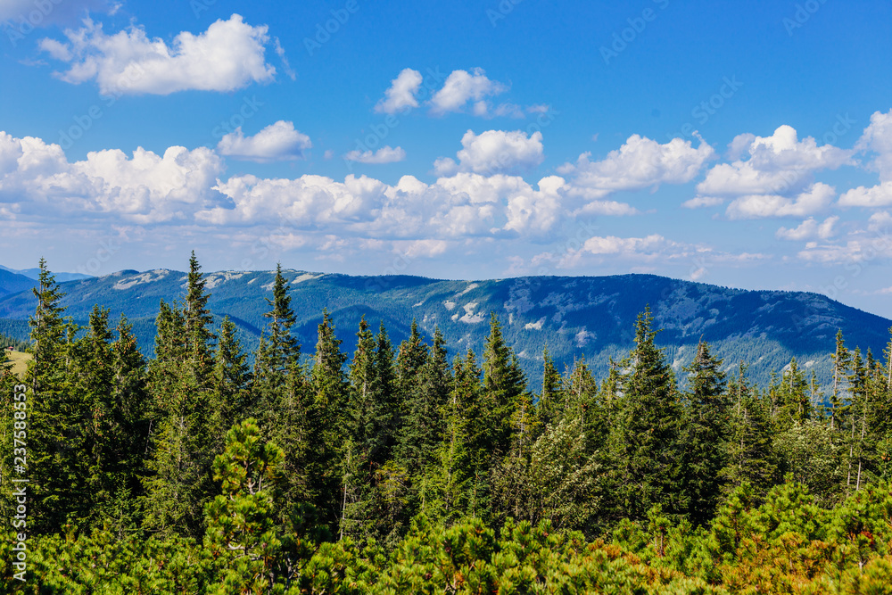 View of the Carpathian mountains