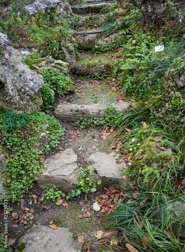 Small Garden Stairway