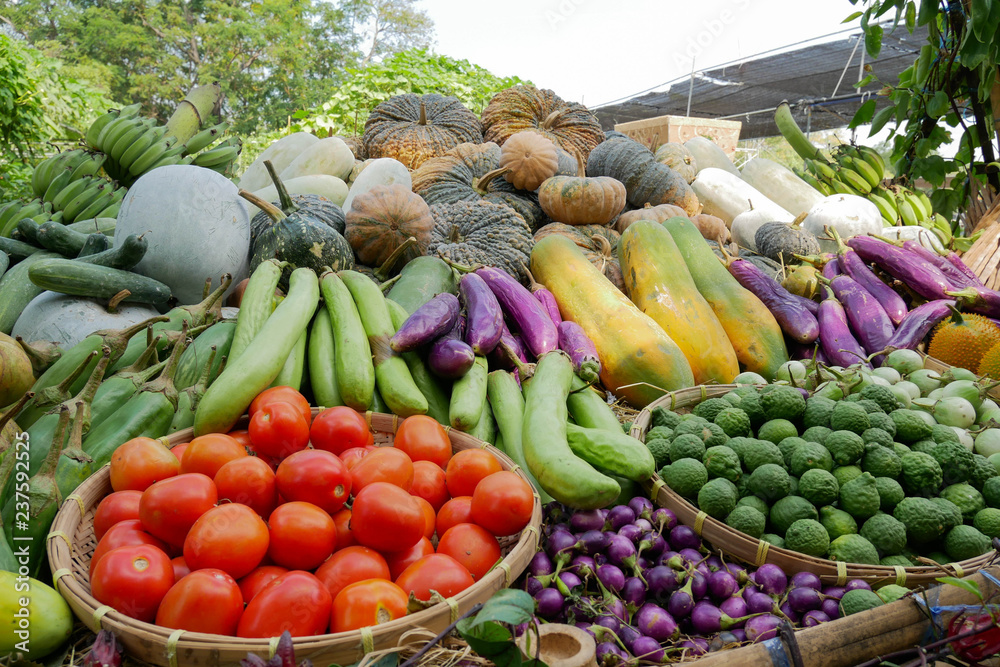 Organic fruits and vegetables sold in the farm