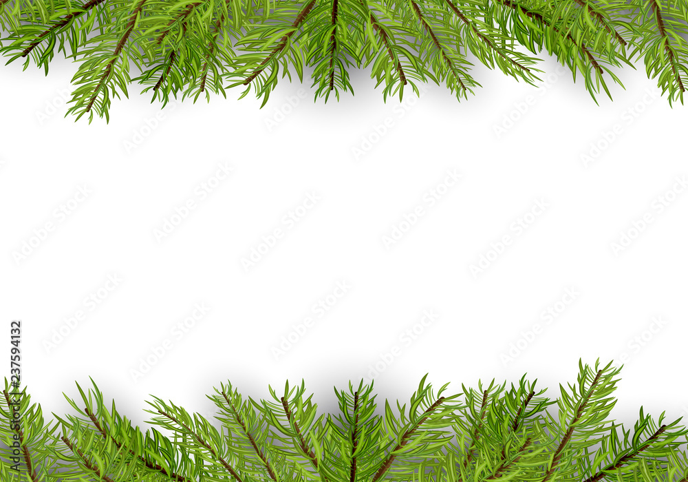 Christmas and New Year Banner with Pine Branches - Fir Branch Border