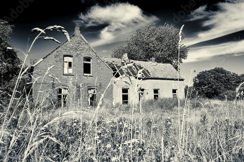 Abbruchhaus auf einer Wildwiese photo