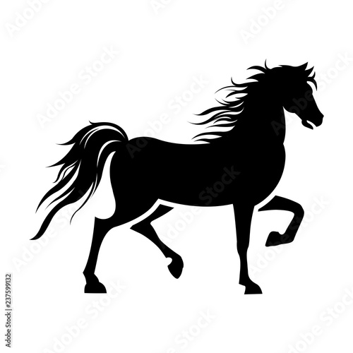 Turkish Rahvan horse vector drawing