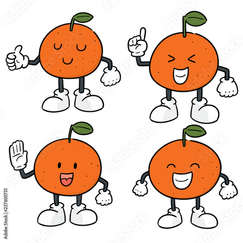 vector set of orange