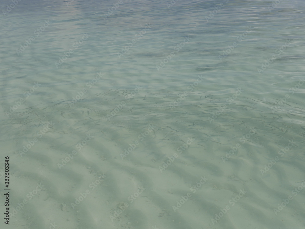 white sand and ocean waves white sand and ocean waves
