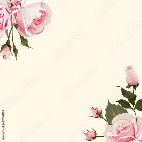 Vector Floral background with pink roses on the conners photo