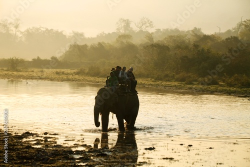 Elephant on River