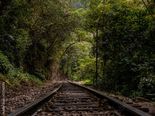 Train Tracks to Agua Calientes Peru