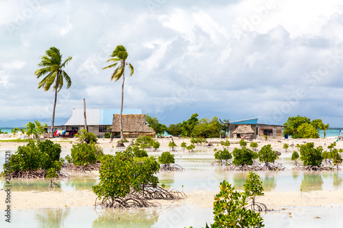 Village on South Tarawa atoll, Kiribati, Gilbert islands, Micronesia, Oceania. Thatched roof houses. Rural life, a remote paradise island under palms photo